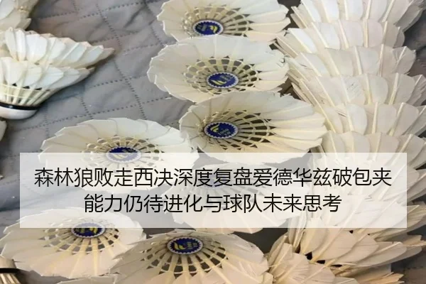 森林狼败走西决深度复盘爱德华兹破包夹能力仍待进化与球队未来思考